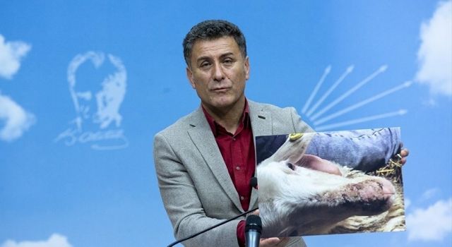 saribal:-tunceli’de-pes-pese-hayvan-olumleri-yasandi!