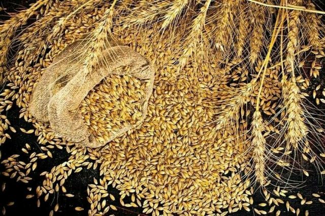 ermenistan’dan-tarim-urunlerine-ihracat-yasagina-6-ay-daha-uzatma