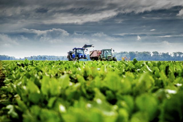 tarim-ve-orman-bakanligi,-ciftcilere-306-milyon-liralik-destek-odemesi-yapti