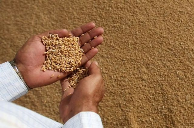 gurer:-tarimda-durum-vahim,-ciftci-borc-yuku-altinda