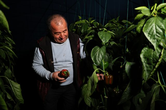 antalya-buyuksehir’den-seralara-dijital-sensor-destegi