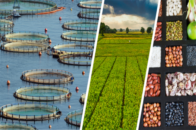 bakan-yumakli:-255,4-milyon-tl-destek-odemesi-yapildi