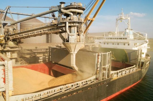 polonya-bugday-ihracati-ab-disina-sezonda-yuzde-53-artti