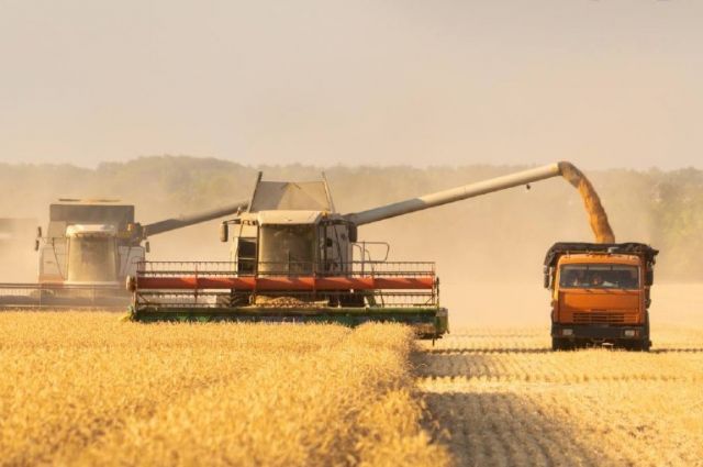 sovecon-rusya-bugday-rekolte-tahminini-85,9-milyon-tona-yukseltti