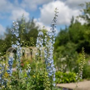 isvec-tarim-universitesi:-yogun-gunes-bitki-cesitliligini-azaltiyor