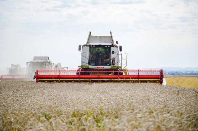 avustralya-ocak’ta-2,6-milyon-ton-bugday-ihrac-etti