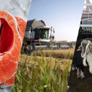 tarim-bakanligi:-ipard-iii-programi-2026-cagri-takvimi-aciklandi