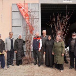 cankiri’da-150-ciftciye-1500-kayisi-fidani-dagitildi