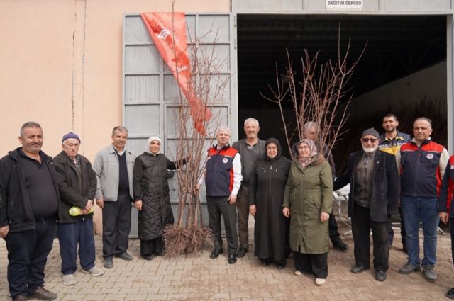 cankiri’da-150-ciftciye-1500-kayisi-fidani-dagitildi