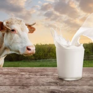 tusedad:-mart’ta-1-litre-sut-uretim-maliyeti-28,13-tl