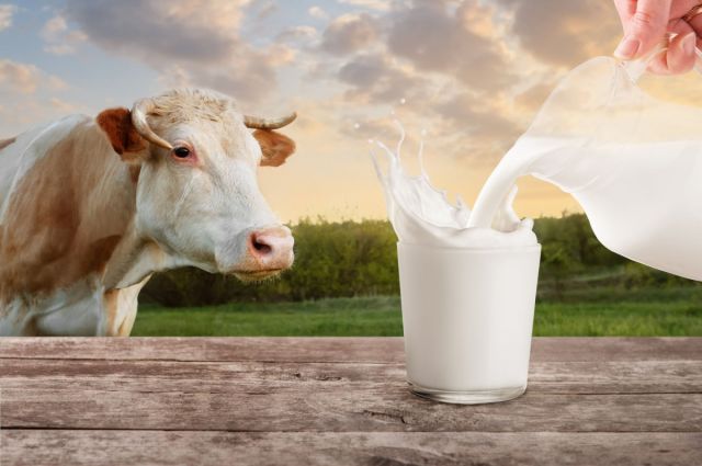 tusedad:-mart’ta-1-litre-sut-uretim-maliyeti-28,13-tl