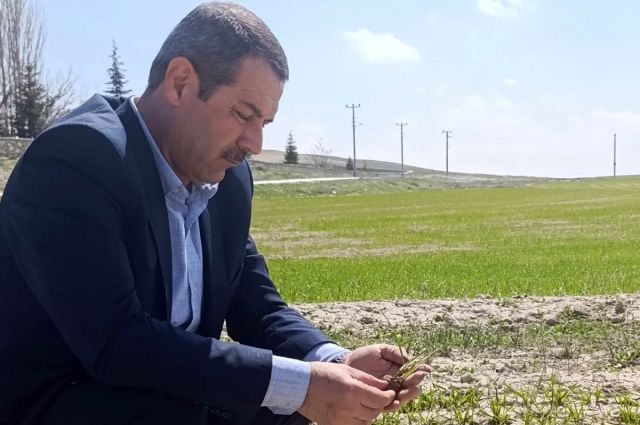 akbulut:-cihanbeyli’de-yagislar-verimi-olumlu-etkiledi