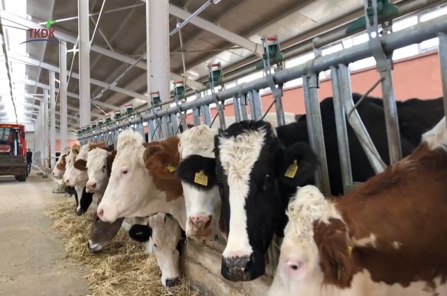 kuresel-et-fiyatlarinda-artis-suruyor