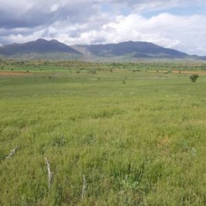 besicilerin-dikkatine!-kurallara-uymayana-agir-cezalar-var