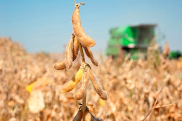 brezilya’da-soya-ihracati-karayolu-tasimaciligini-%15-artirdi