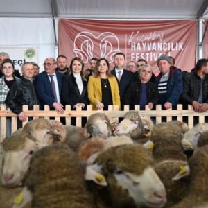 malkara’da-hayvancilik-festivali-basladi