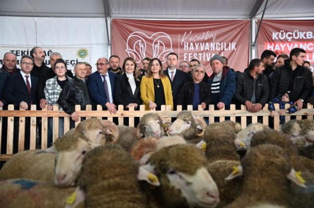 malkara’da-hayvancilik-festivali-basladi