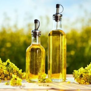 usda:-hindistan'da-kanola-uretimi-rekora-kosuyor