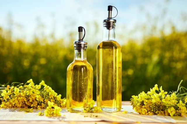 usda:-hindistan'da-kanola-uretimi-rekora-kosuyor