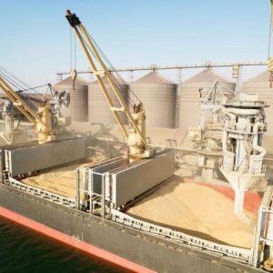 rusya-ve-misir-tahil-ticareti-icin-ortak-merkez-kuruyor