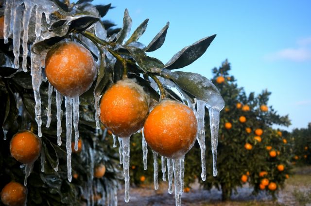 meteoroloji:-kuvvetli-yagis-ve-zirai-don-riski-var