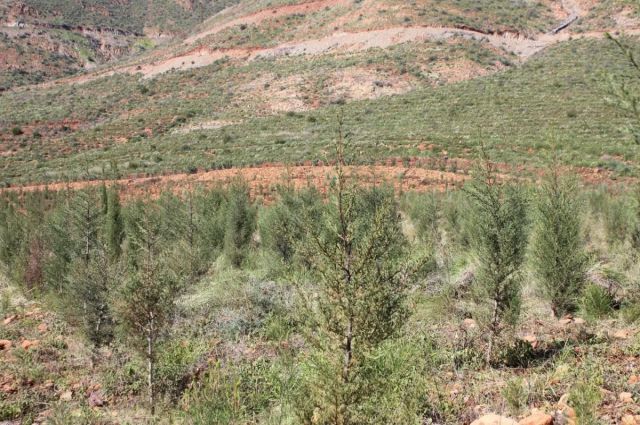 ogm:-corum’da-kacak-yapilar-kontrol-altina-alindi