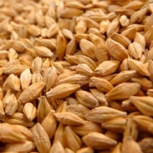 rusya-tarim-bakanligi-arpa-ve-misir-ihracat-vergisini-sifirladi