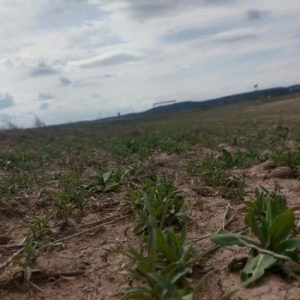 gelecegin-yakiti-konya-topraklarinda-yukseliyor!