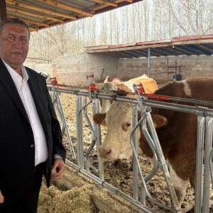 chp’li-gurer:-nigde’de-sut-ureticileri-ahirlarini-kapatiyor