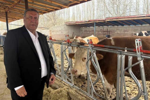 chp’li-gurer:-nigde’de-sut-ureticileri-ahirlarini-kapatiyor