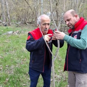 ispir'de-dut-kabuklu-biti-ile-mucadelede-%98-basari-saglandi