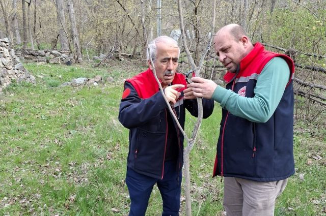 ispir'de-dut-kabuklu-biti-ile-mucadelede-%98-basari-saglandi