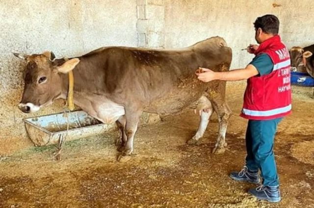 mardin’de-sap-asilama-orani-yuzde-72’ye-ulasti