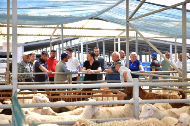 2026-kurbanlik-fiyatlari-listesi-netlesti