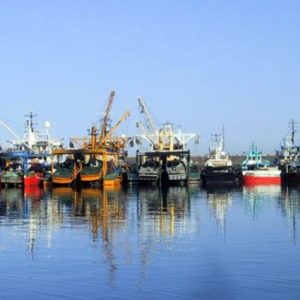 giresun-il-tarim-duyurdu:-denizlerde-av-yasagi-15-nisan’da-basliyor