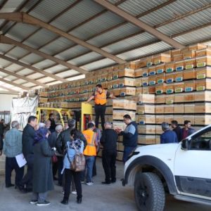 antalya-buyuksehir-400-ureticiye-ari-kovani-destegi-verdi