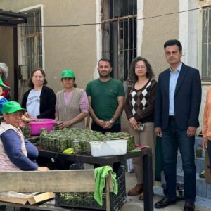 mugla’da-cagla-tursusu-uretimi-ekonomiye-katki-sagladi