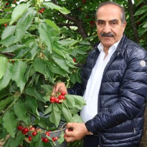 ege-ihracatci-birlikleri-kiraz-ihracatinda-200-milyon-dolar-hedefledi