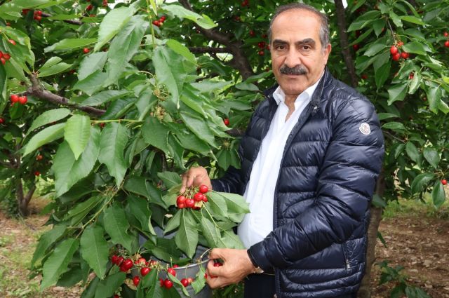 ege-ihracatci-birlikleri-kiraz-ihracatinda-200-milyon-dolar-hedefledi