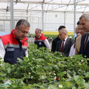 samsun’da-modern-tarim-yatirimlari-buyuyor