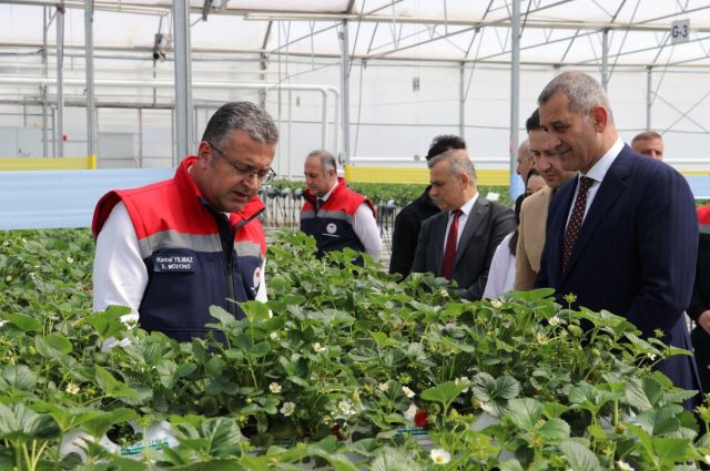 samsun’da-modern-tarim-yatirimlari-buyuyor