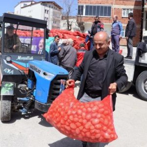 ordu-buyuksehir-6-ilcede-45-ton-patates-tohumu-dagitti