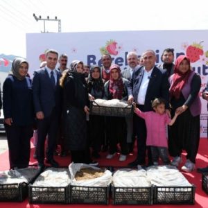 pozanti’da-cilek-uretimi-destekle-buyuyor