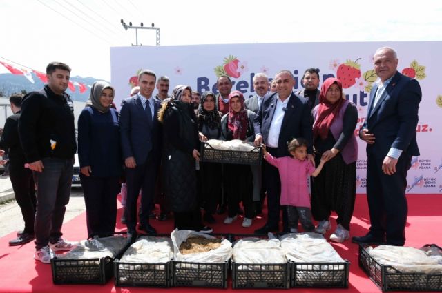 pozanti’da-cilek-uretimi-destekle-buyuyor