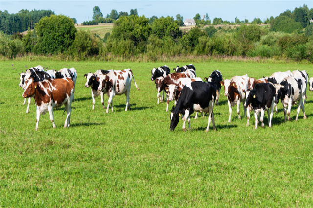 tarim-ve-orman-bakanligi’ndan-hayvancilikta-ucret-karari