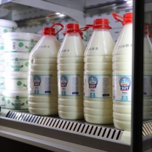 eskisehir-buyuksehir-halk-sut-uretimini-artirdi