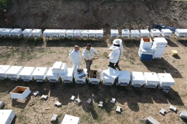 elazig’da-aricilikta-ilkbahar-bakim-egitimi-verildi