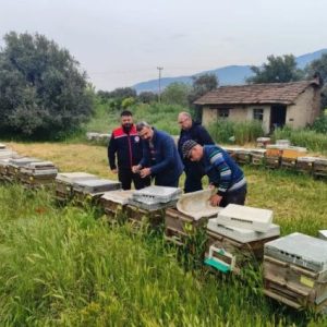 aydin’da-ana-ari-uretimi-yapan-isletmeler-denetlendi