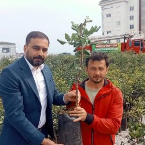 antalya’da-5-bin-keciboynuzu-fidani-ureticiye-dagitildi