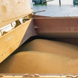 hindistan-hukumeti-bugday-ihracat-kotasini-5-milyon-tona-cikardi